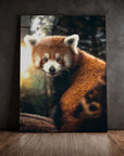 Red Panda