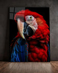 Scarlet Macaw Parrot Black Portrait
