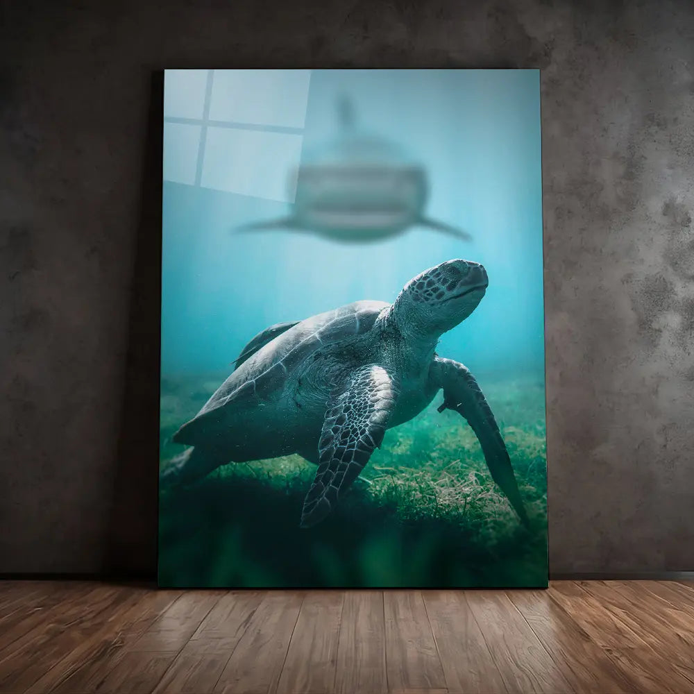 Shark Turtle