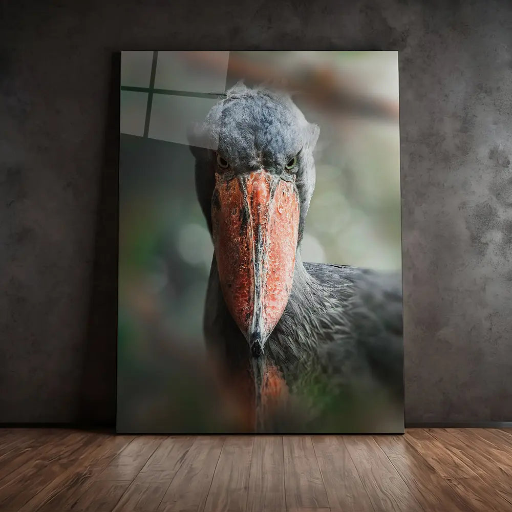 Shoebill