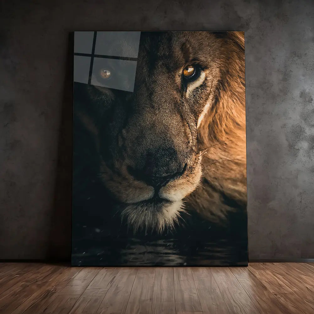 Stare Lion