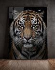 Tiger Front View