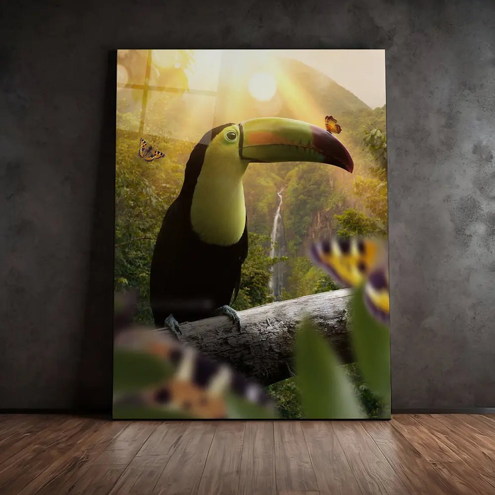 Toucan Butterflies
