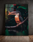 Toucan Butterfly
