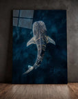 Whale Glowing Water
