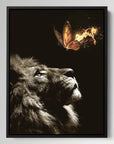 Lion Burning Butterfly