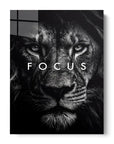 Lion Focus