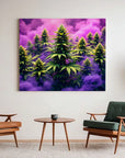 Purple Smoke