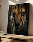 Cheetah Hiding