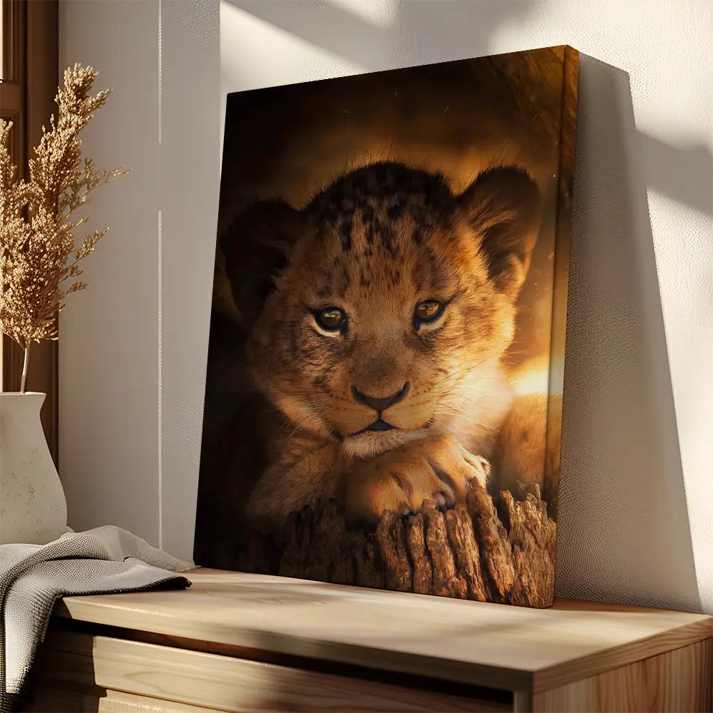Lion Cub