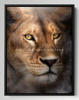 Lioness Focus