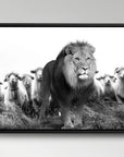 Lion Sheeps