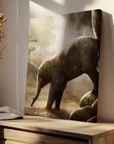 Baby Elephant