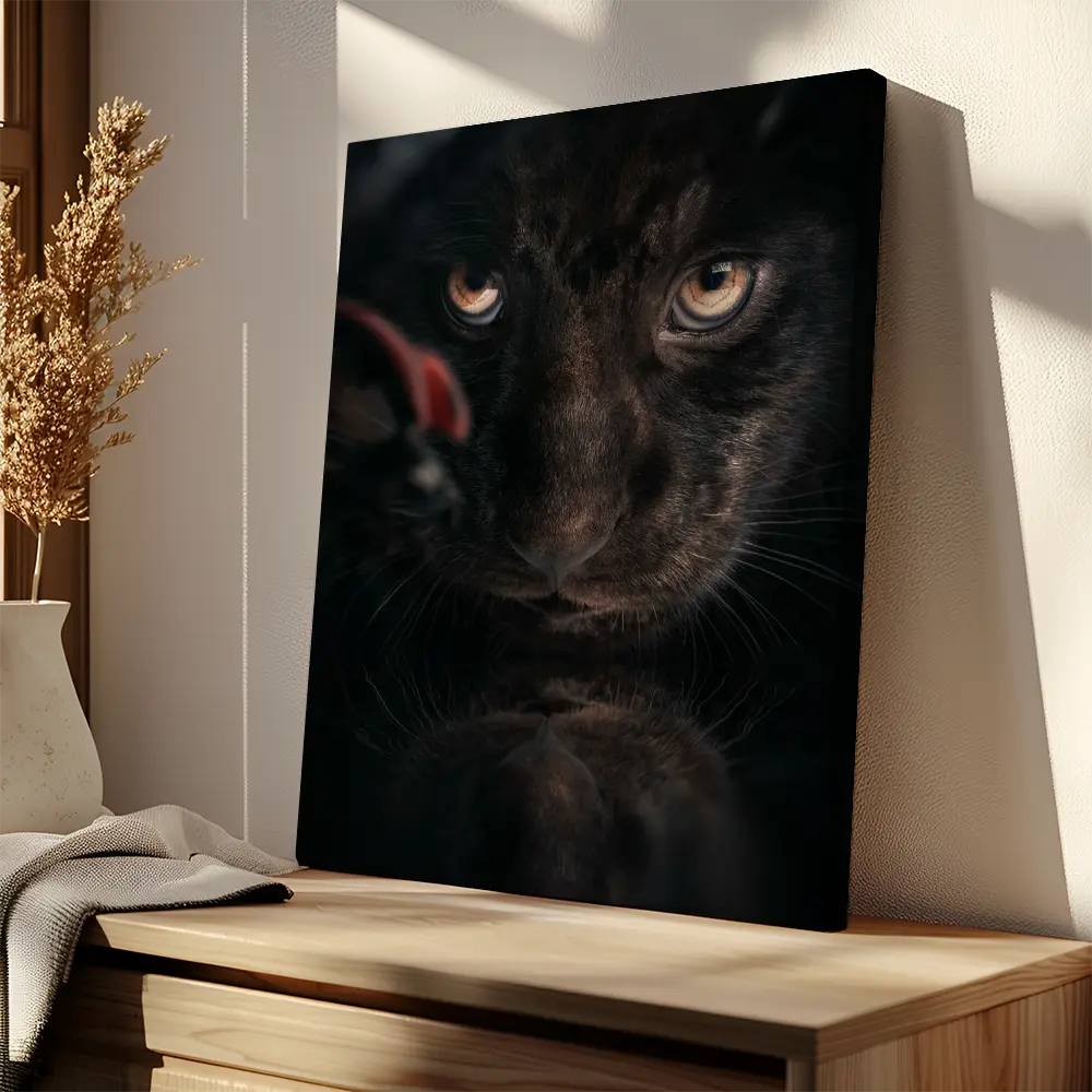 Black Jaguar Cub