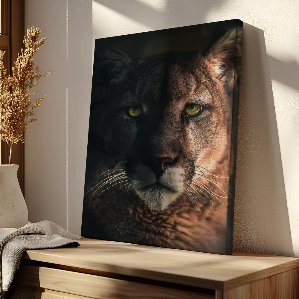 Bobcat