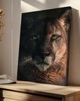 Bobcat