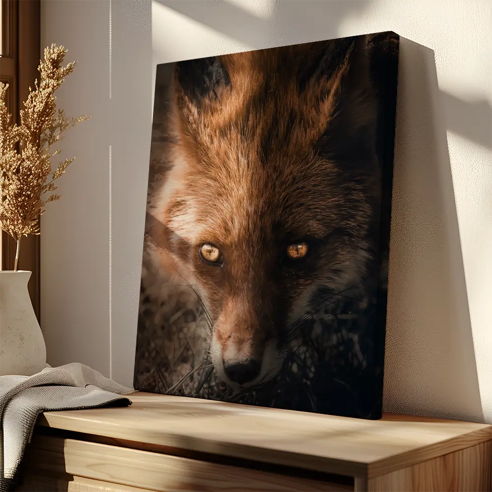 Fox Eyes