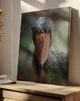 Shoebill