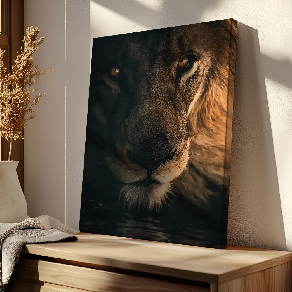 Stare Lion