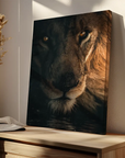 Stare Lion