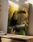 Toucan Butterflies