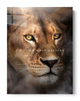 Lioness Focus