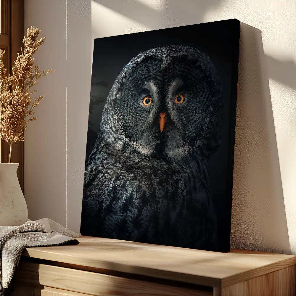 Owl At Night