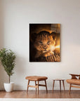 Lion Cub