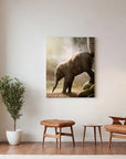 Baby Elephant