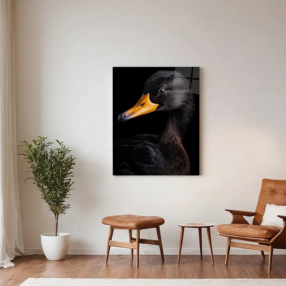 Black Duck Black Portrait