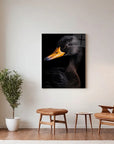 Black Duck Black Portrait