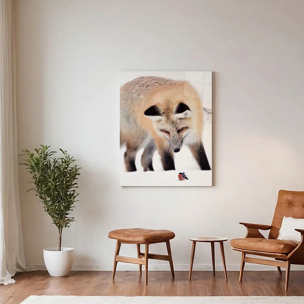 Bullfinch Fox