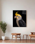 Cockatiel Black Portrait