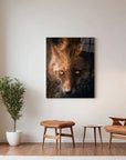 Fox Eyes