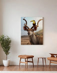 Kudu Birds