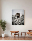 Lion Meets Sheep