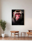 Macaque Black Portrait