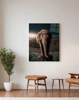 Midnight Elephant