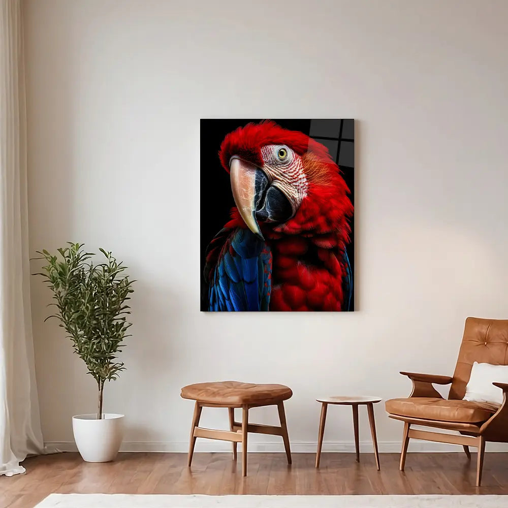 Scarlet Macaw Parrot Black Portrait