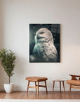 Snowy Owl