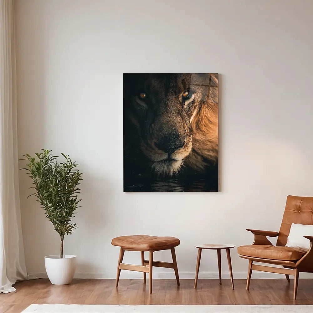 Stare Lion
