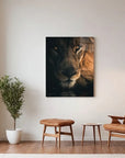 Stare Lion