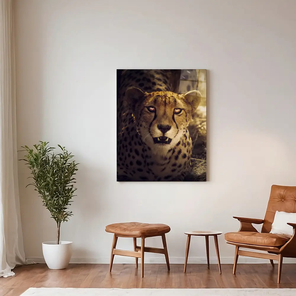 Sunset Cheetah
