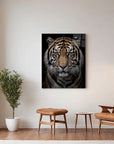 Tiger Front View