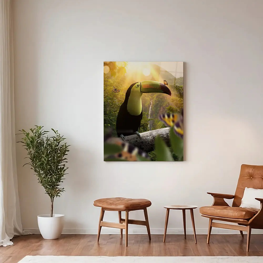 Toucan Butterflies