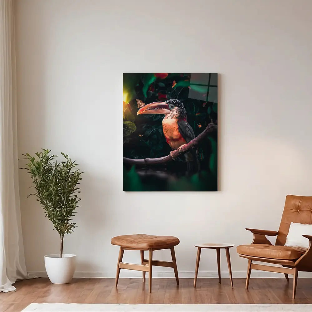 Toucan Butterfly