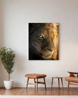 Golden Hour Lion