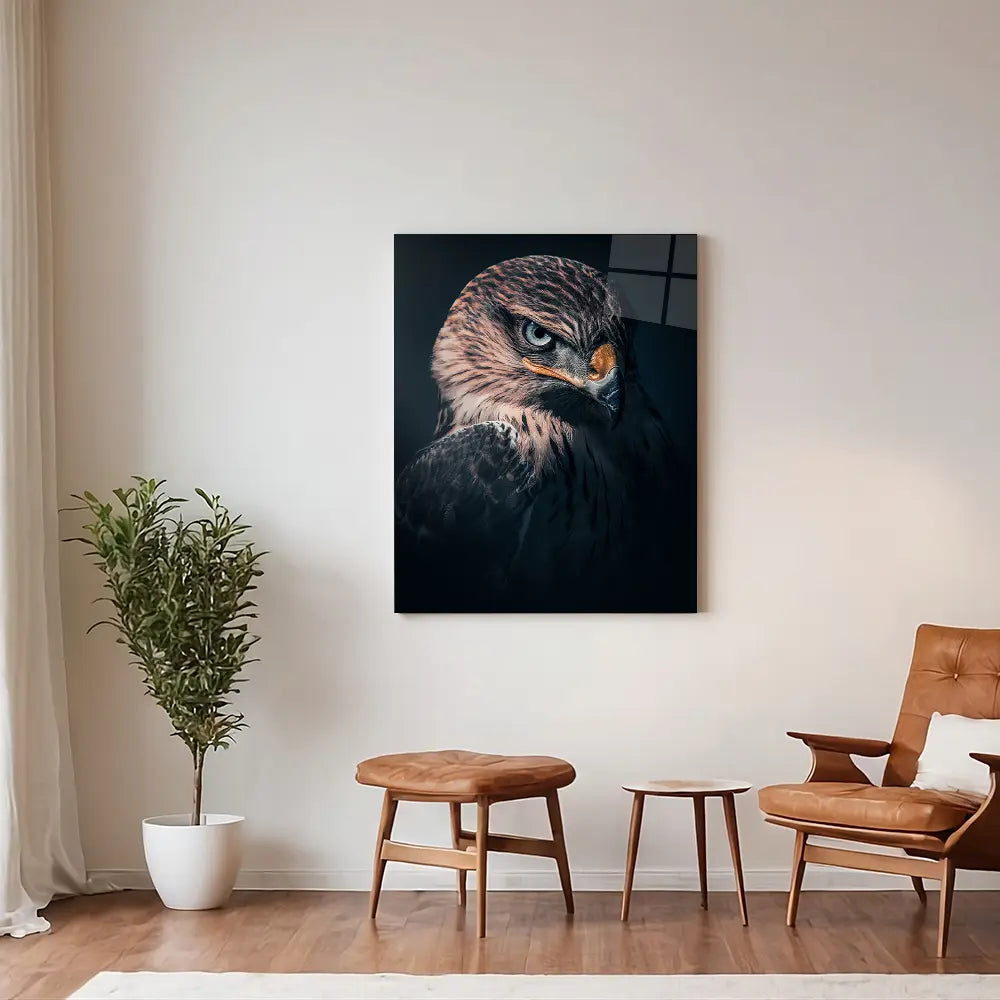 Hawk Vision