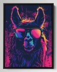 Funky Llama