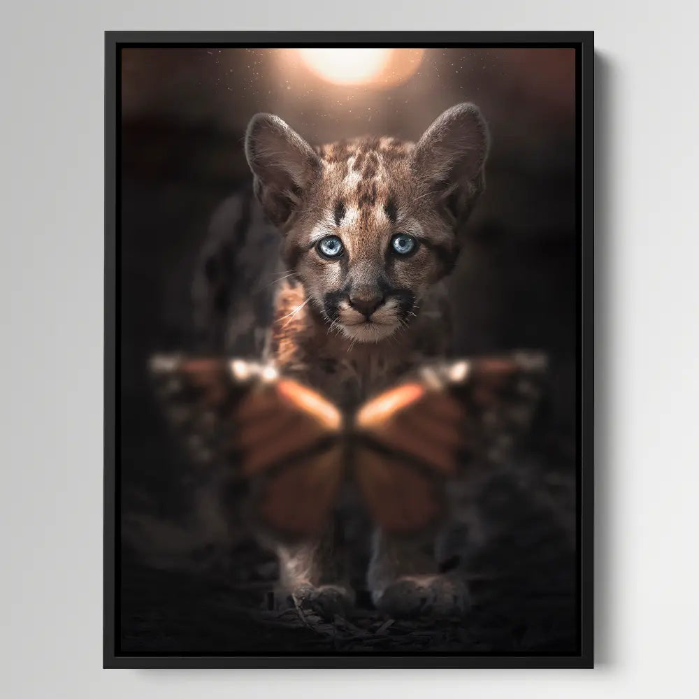 Butterfly Cub